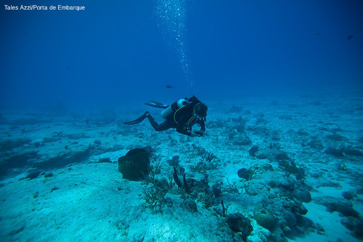 Mergulho em Cozumel, no México, uma das paradas do Norwegian Getaway Mergulho em Cozumel, no México, uma das paradas do Norwegian Getaway