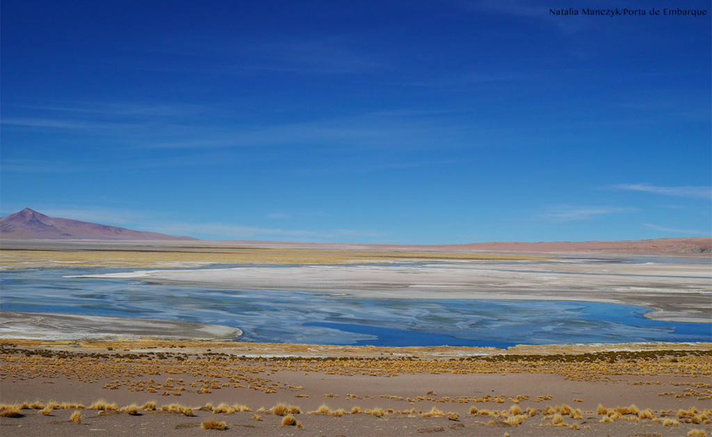 salar de tara lagoa e vulcão no deserto de Atacama, chile salar de tara lagoa e vulcão no deserto de Atacama, chile