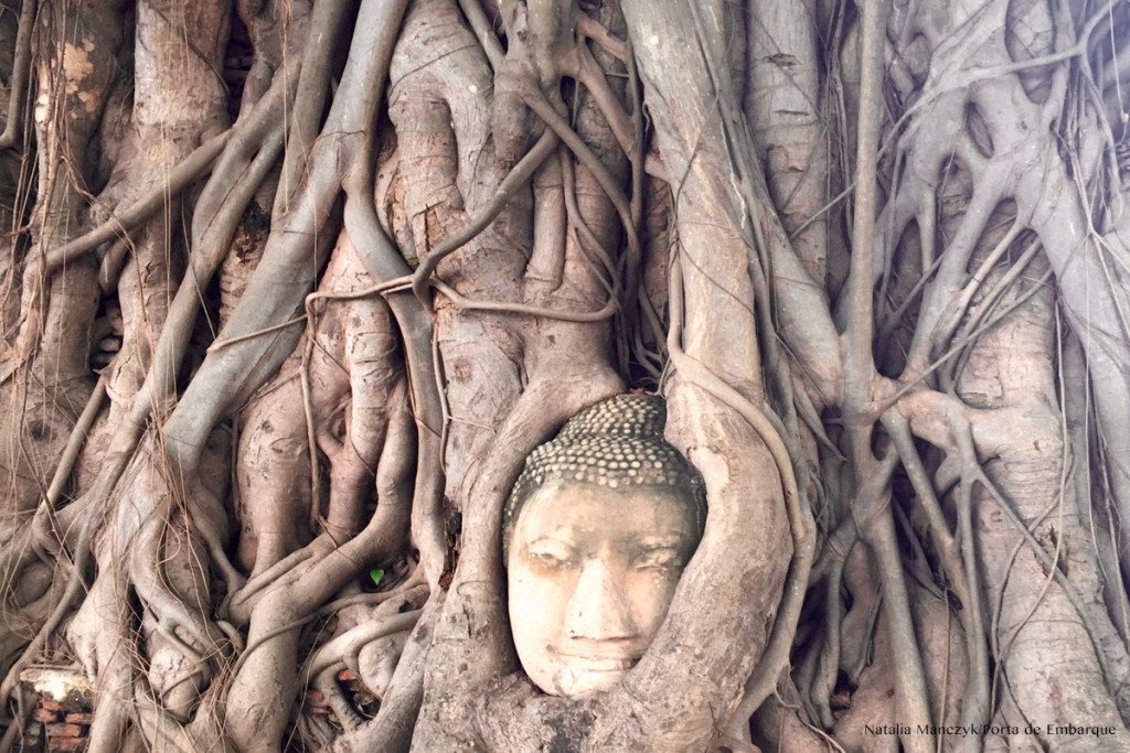 Ayutthaya-cabeça Ayutthaya-cabeça