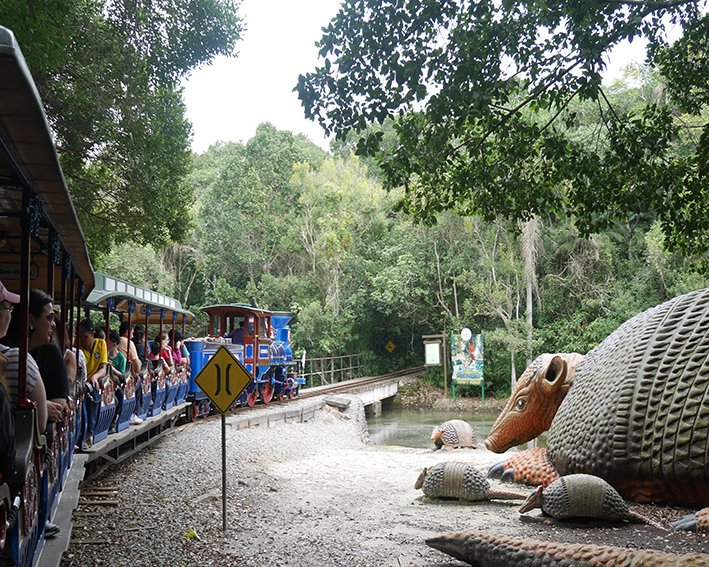 Trenzinho que passa pelos animais do parque Trenzinho que passa pelos animais do parque