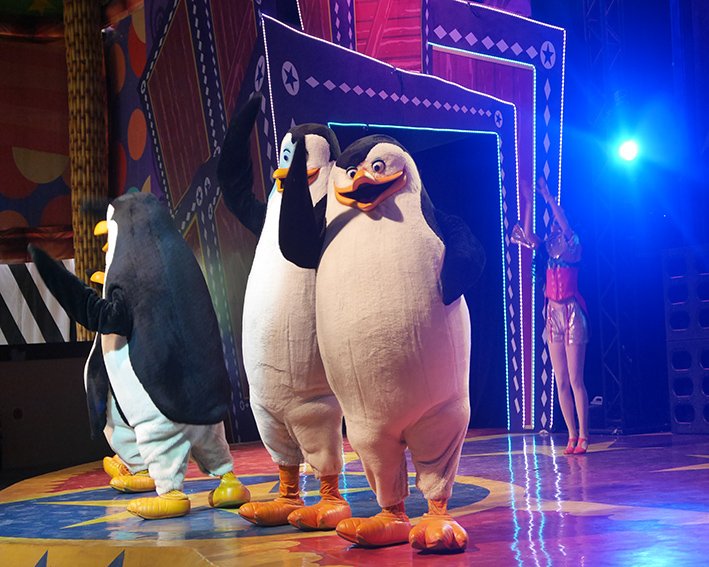 Show Madagascar Show Madagascar