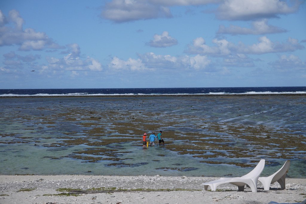 Praia de Lady Elliot Island, na Australia Praia de Lady Elliot Island, na Australia
