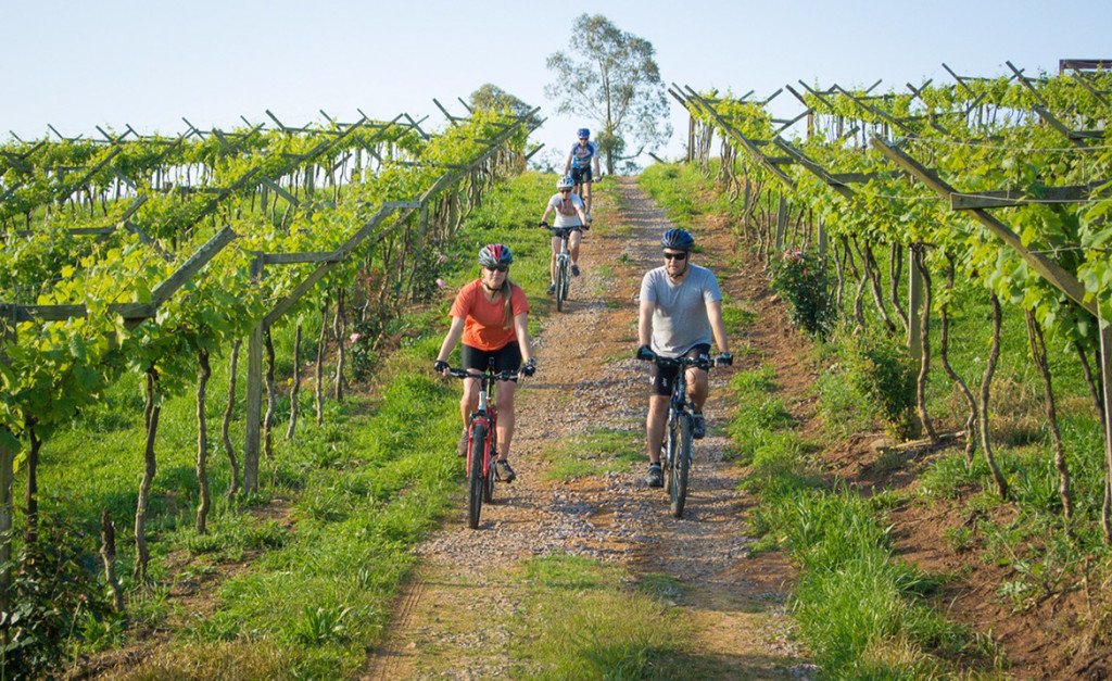 Bicicleta nas vinícolas da Serra Gaúcha, Dall Onder Bicicleta nas vinícolas da Serra Gaúcha, Dall Onder
