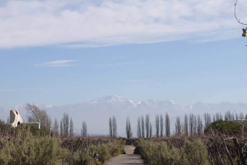 Melhores vinicolas de Mendoza