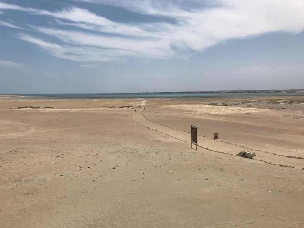 Viagem para Paracas Viagem para Paracas