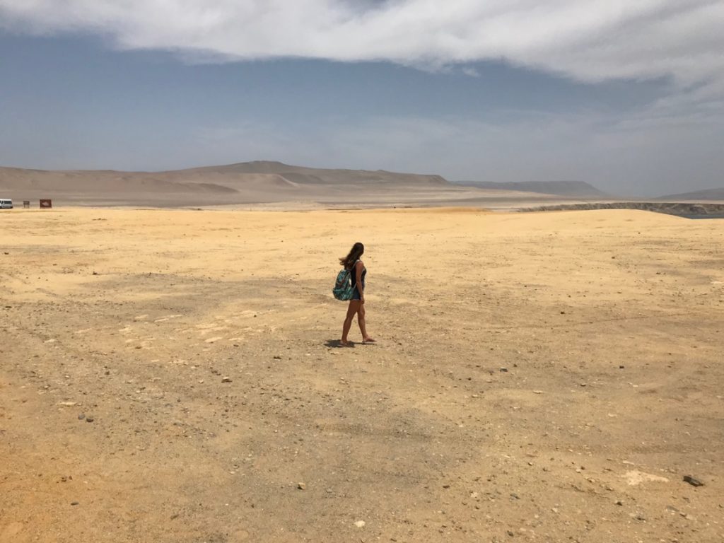 Viagem para Paracas Viagem para Paracas